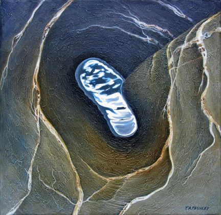 quicksilver-pool-86e1bf32d20d6e258e3dd160c2d2461c